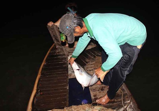 Mùa này nhờ câu cá bông lau mà nhiều người dân có nguồn thu nhập khá