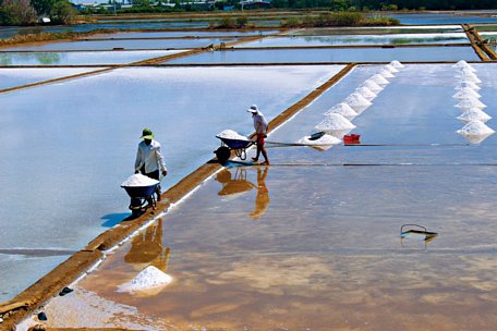 Muối không chỉ kết tinh từ nước biển mà trong đó còn có vị mặn mồ hôi của diêm dân.