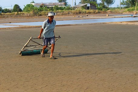 Làm đất, khâu quan trọng trong nhiều công đoạn (dẫn nước, tạo lắng...) trước khi hạt muối được kết tinh.