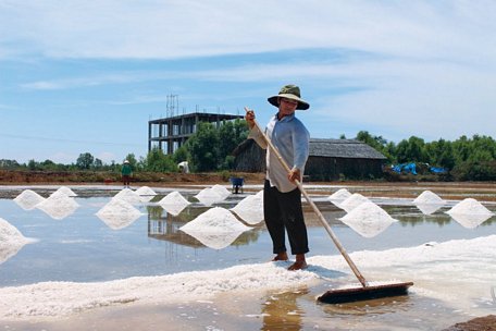 Sau 20 ngày, nước biển khô đi, để lại những hạt muối trắng ngần.