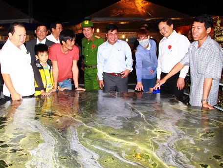 Ông Nguyễn Văn Quang- Phó Bí thư Tỉnh ủy, Chủ tịch UBND tỉnh (thứ nhất từ trái qua) cùng các đại biểu tham quan gian hàng.