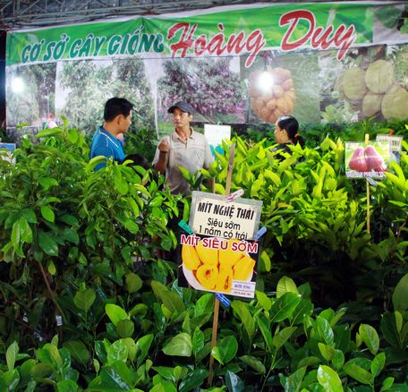 Cây giống thu hút nhiều người tham quan.