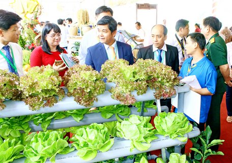 Nông nghiệp công nghệ cao là một trong những lĩnh vực Vĩnh Long chú trọng thu hút đầu tư. Ảnh: DƯƠNG THU