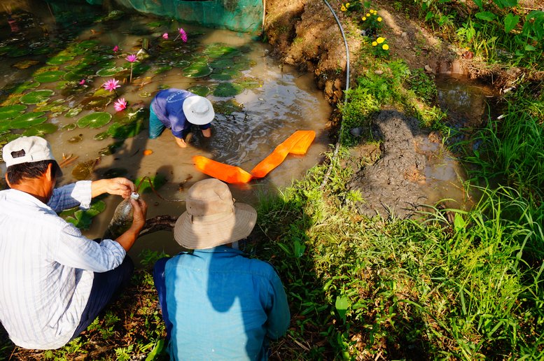 Trước đây, người dân thường dùng chiếc gàu dây để tát nước còn bây giờ, mọi người thường dùng máy để tát vừa nhanh, vừa đỡ nặng nhọc.