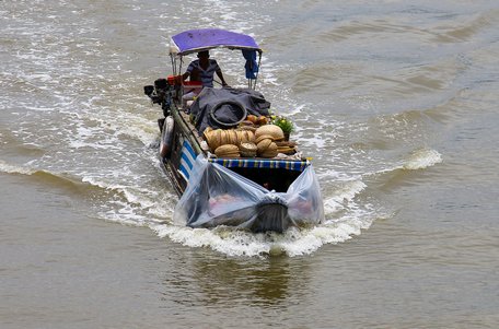 Nhờ xuồng hàng mà nhiều người có cuộc sống ổn định.