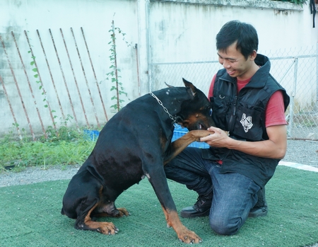 Anh Võ Huy Hoàng bên “người bạn bốn chân” của mình.