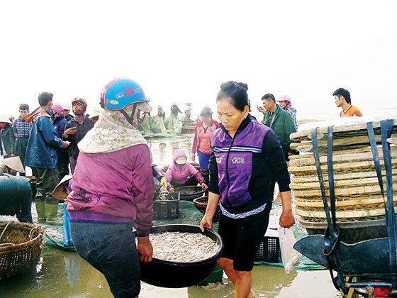 Đi đánh bắt là công việc của đàn ông, nhưng bè mảng cập bến là lúc những người phụ nữ tất bật 