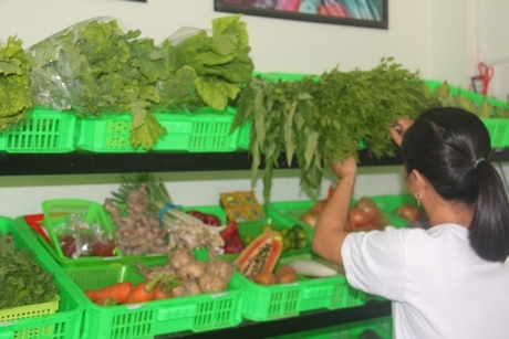 Nguồn rau được lựa chọn khắt khe, bảo đảm sức khỏe người tiêu dùng.
