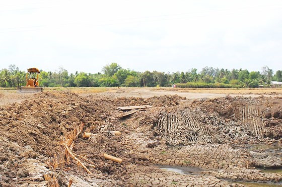 Khu vực khai thác đất mặt trái phép tại khu đất của ông Trần Văn Biên (xã An Xuyên, TP Cà Mau). Ảnh: NGỌC CHÁNH