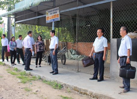 Đoàn khảo sát thực tế tại HTX sản xuất và tiêu thụ Bưởi Năm roi Mỹ Hòa.