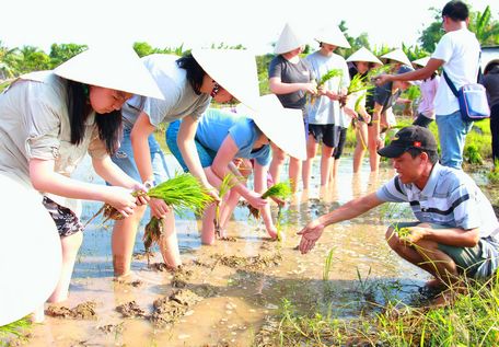 Đoàn được hướng dẫn và thực hành cấy lúa.