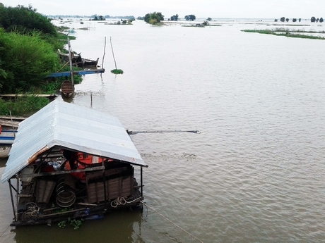 Nhiều chuyên gia cho rằng, cần trả lũ cho đồng bằng để lấy phù sa và nhiều sinh vật có lợi khác.