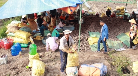 Hiện thu nhập bình quân đầu người xã Nguyễn Văn Thảnh khoảng 38 triệu đồng/người/năm, xã đang phấn đấu đạt 41 triệu đồng/người/năm.
