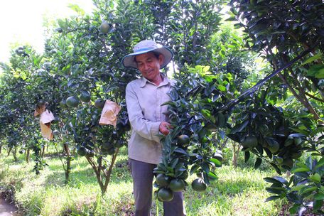 Qua bao khó khăn, giờ đây với mô hình kinh tế tổng hợp, gia đình chú Năm ngày càng khấm khá.