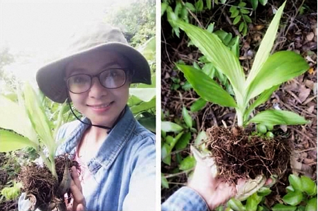 Như Thanh luôn dành thời gian rảnh rỗi để sưu tầm thêm một số giống lan rừng cho khu vườn của mình.