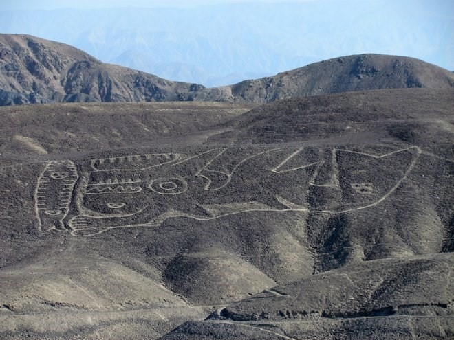 Một hình vẽ khổng lồ ở Palpa, Peru. (Nguồn: livescience.com)