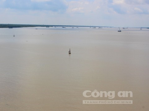 Sông Hàm Luông và Cổ Chiên là nơi anh Đạt thường xuyên “săn” cá ngát