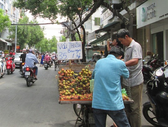 Các loại trái vải bán tại TP HCM đều có tên chung là 