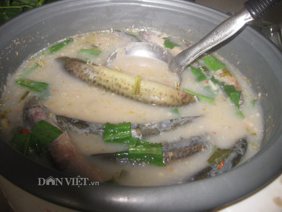 Cá chạch nấu canh chua (nấu lẩu).