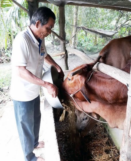 Hộ chăn nuôi cần đăng ký với chính quyền địa phương để được hỗ trợ khi có thiên tai, dịch bệnh, đồng thời giúp cho việc quản lý được tốt hơn.