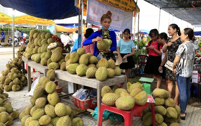 Quầy sầu riêng đa dạng chủng loại rất hấp dẫn.