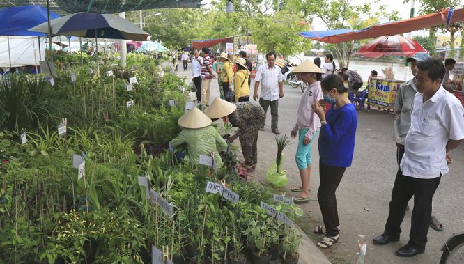 Các gian hàng trưng bày giống cây trái lạ luôn gây chú ý cho nhiều khách tham quan.