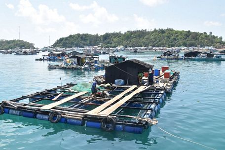 Nuôi cá lồng bè trên quần đảo Nam Du.