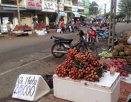 Trái cây về chợ Vĩnh Long nhiều, giá rẻ.