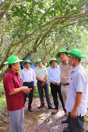 Lãnh đạo tỉnh đề nghị ngành chức năng cần dự báo, khuyến cáo nông dân kịp thời, hạn chế rủi ro nhất là tự phát trong sản xuất nông nghiệp.