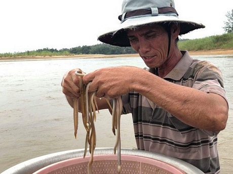 Số lịch sau một ngày dầm mình cào bắt.