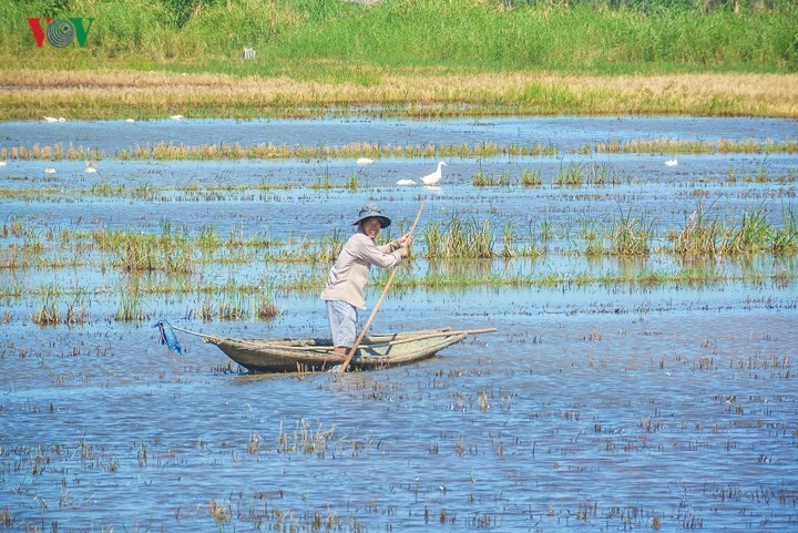 Qua đèo Hải Vân, 