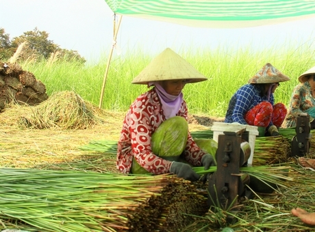  Tỉnh hiện có 63 HTX lĩnh vực nông nghiệp, hoạt động theo loại hình dịch vụ, hỗ trợ đầu vào và đầu ra sản phẩm cho thành viên