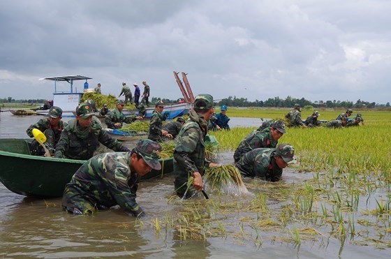 Đồng bằng sông Cửu Long cần đề phòng nước lũ về