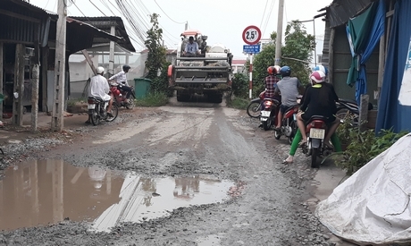 Máy gặt đập liên hợp thường xuyên qua lại chiếc cầu bê tông trên vào mùa thu hoạch lúa.