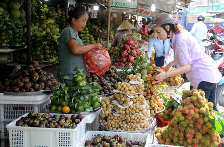  Khách hàng có thêm nhiều sự lựa chọn trong mùa hè.