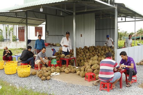 Ngày khai trương có đông đảo người dân trong và ngoài huyện đến thưởng thức.