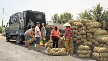 Một số HTX lĩnh vực nông nghiệp bước đầu đã liên kết với doanh nghiệp trong đầu tư đầu vào đến đầu ra.