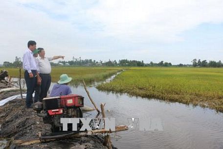 Các ngành chức năng kiểm tra vùng ngập lũ tại huyện Tân Hưng, Long An. Ảnh: Thanh Bình/TTXVN