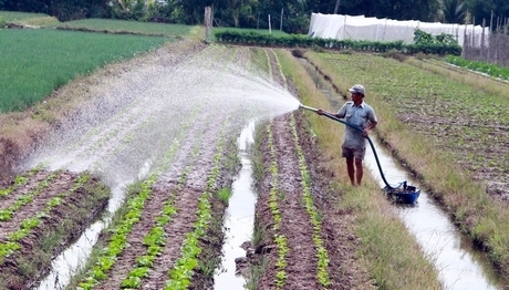 Người dân lo lắng vì thời tiết thất thường, năng suất nông sản giảm.