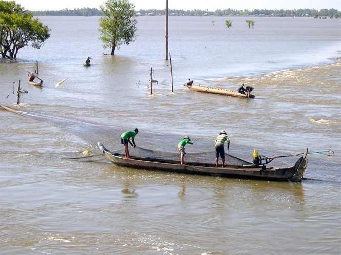 Đánh bắt thủy sản trong mùa lũ