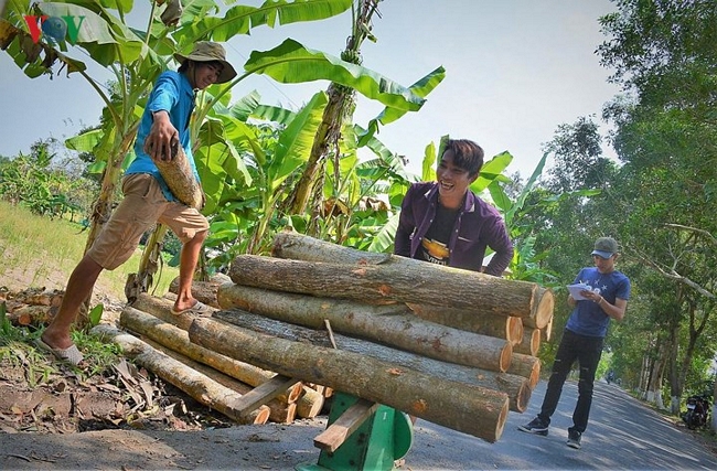 Đến kỳ thu hoạch, người dân có thu nhập lên đến trăm triệu/ha.