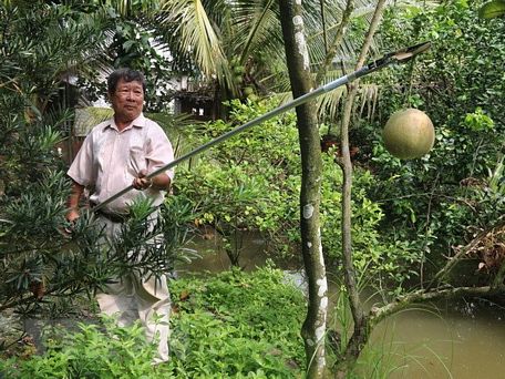 Ông Lê Phước Lộc trình diễn cách sử dụng kéo cắt tỉa đa năng. (Ảnh: Minh Trí/TTXVN)