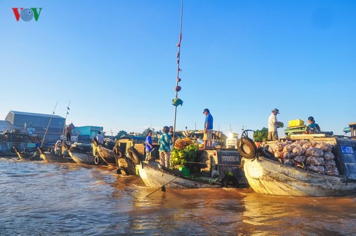 Từ 4-5h sáng, các khúc sông đã tấp nập nào ghe, thuyền, xuồng ngược xuôi như mắc cửi. Điểm độc đáo là mỗi thuyền đều có một cây bẹo, bán món hàng gì thì treo món đó, đủ loại cây trái, thực phẩm, thậm chí có cả vé số,…