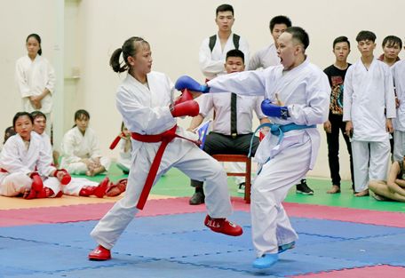 Karatedo Vĩnh Long được phát triển tốt suốt gần 20 năm qua đã thi đấu khá ấn tượng tại các giải trẻ và vô địch quốc gia. 