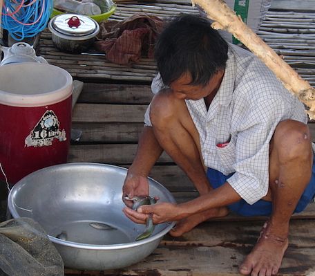  Khai thác và có biện pháp bảo vệ nguồn tài nguyên thuỷ sản vùng lũ góp phần hạn chế cạn kiệt là vấn đề các ngành chức năng nghĩ tới.