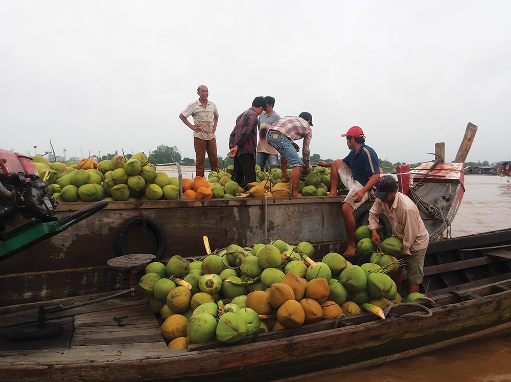 Ngày mới của thương hồ 