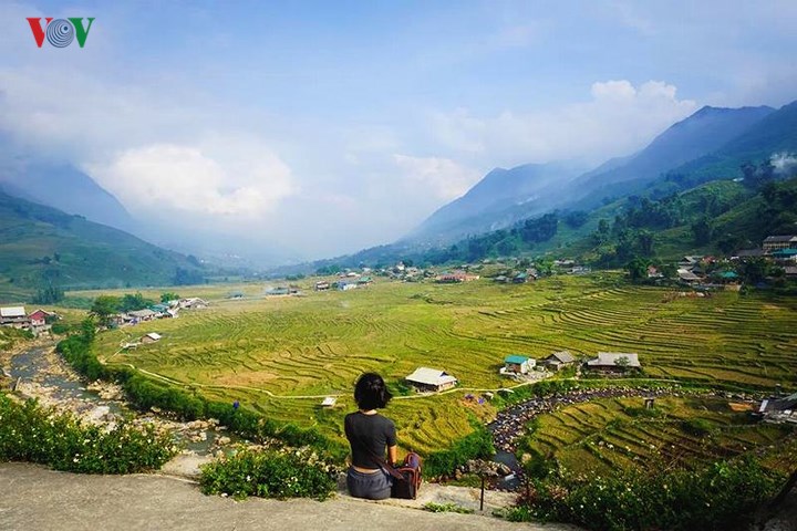 Từ trên cao nhìn xuống, những đợt sóng vàng như trải dài vô tận, một cảnh tượng khiến nhiều người choáng ngợp.