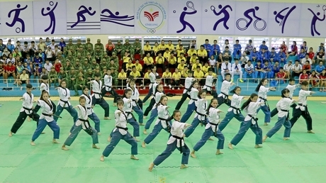 Đồng diễn Vovinam.