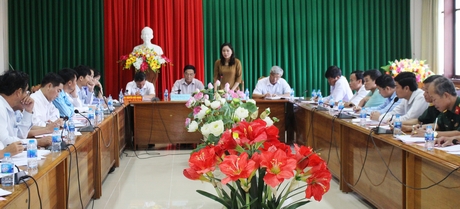 Đoàn làm việc với tỉnh và thị xã Bình Minh.