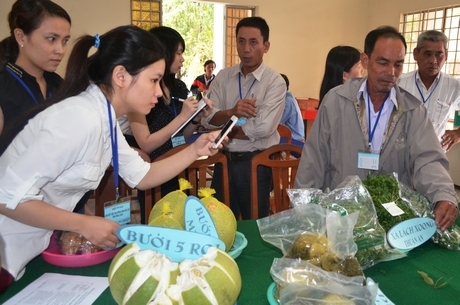 Khuyến công góp phần quan trọng trong phát triển công nghiệp nông thôn.